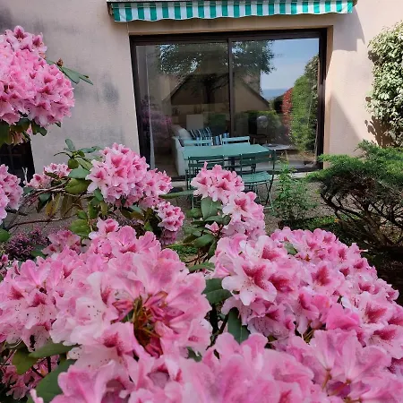 Le Denyspuech 55m2 Plein Centre Avec Jardin!