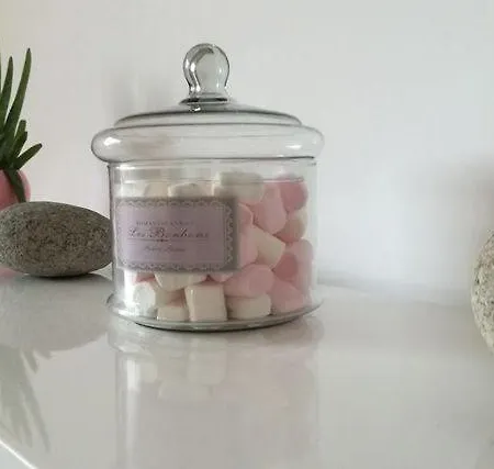 شقة Le Denyspuech 55m2 Plein Centre Avec Jardin!