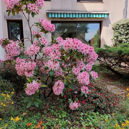 Le Denyspuech 55m2 Plein Centre Avec Jardin! Lägenhet *