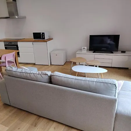 Διαμέρισμα Le Denyspuech 55m2 Plein Centre Avec Jardin! Ροντέζ